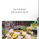 보드리꽃집 - 중구 제물량로 128-3 | 보드리꽃집