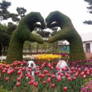 고모네생선구이
