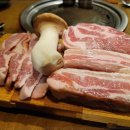 서해쭈꾸미 이미지