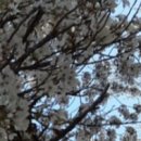 최우식노즈립성형외과의원 이미지