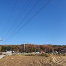 선장죽산2리경로당 네이버블로그