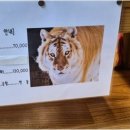 용신4 | 신당동의 서울신점, 용신도령에서 솔직한 인생 상담 받기