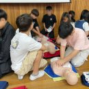 진영금병초등학교 이미지