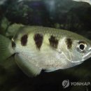 고기가 - 서구 검단로 455 | 고기가