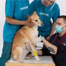 코지동물의료센터 서구청점 이미지