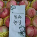 일송농장 이미지