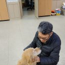 거제도연수원하나펜션 이미지