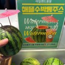 제주좋은과일