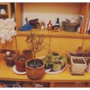 바다소리피아노학원 이미지