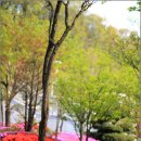 성남아트센터 이미지