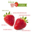 이미자농장 이미지