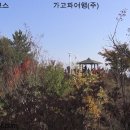 20141109 강원 고성군 해파랑길49(해발 지도참조) 산행지도, 산행동영상(거진항사거리~장승 ) 이미지