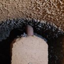 동네방네 사우나 이미지