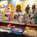 젠동물병원 이미지