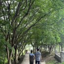 아시아레이크사이드호텔 | 진양호 뷰 감성 뿜뿜! 진주 아시아레이크사이드호텔 가족여행 후기 💙