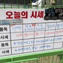 다올수산