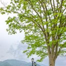 곡성-118 이미지