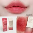 먹지마세요. 클리오 쉬폰 블러틴트16 상큼한비트주스 (Fresh Beet Juice) 내돈내산 후기