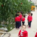 성은어린이집 이미지