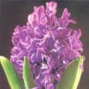 방배천로6-13 이미지