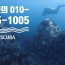 알투 스쿠버 네이버블로그
