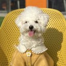 Time to grooming(타임투그루밍) 이미지