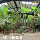 가평카페109 | [경기-가평]가평 주말 드라이브 코스로 방문하기 좋은 가평카페109 내돈내산 솔직후기