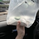 애지중지 | 250323 샌드위치 애지중지하는 사람의 마운트 포장 후기