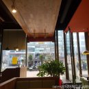 가야진족 이미지