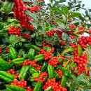 선학농장 이미지