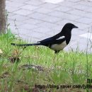 갈매공원 이미지