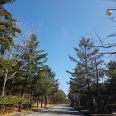 센테리움CC[금강센테리움(주)] 이미지