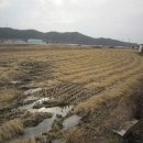 고경면-해선리-1