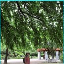 강원도립화목원 이미지