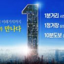 더그레이스경희 이미지