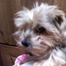 석관동8 이미지