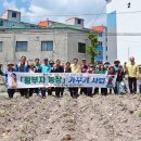 태백농장 이미지