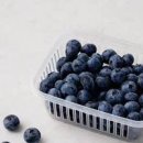 생블루베리 세척 효능 공복 블루베리 설사 당지수 이미지