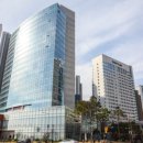 소노캄 고양 이미지