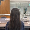 분당-218 이미지