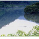 로하스대청공원 이미지