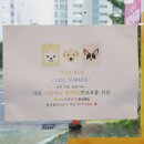 BOK애견용품 이미지