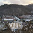 장동농장 이미지