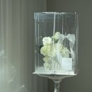 프롬마이시즌스