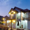 숲속개울가 이미지