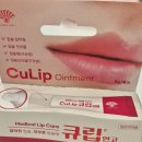 남매약국 | 임신 후 입술 건조 피날 때 효과 좋은 약국 립밤 추천 큐립 내돈내산 후기