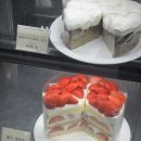 위고 | ☕ 대전 은행동 카페 오프위고 후기 (글루텐프리 케이크 맛집)