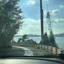 고흥숲속의바다 이미지