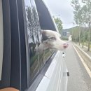 블랙야크용인처인점 | 용인 대형빈티지샵, 빈티지패션팩토리용인본점, 대형의류창고에서 득템!