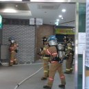 축산물브랜드육타운 이미지